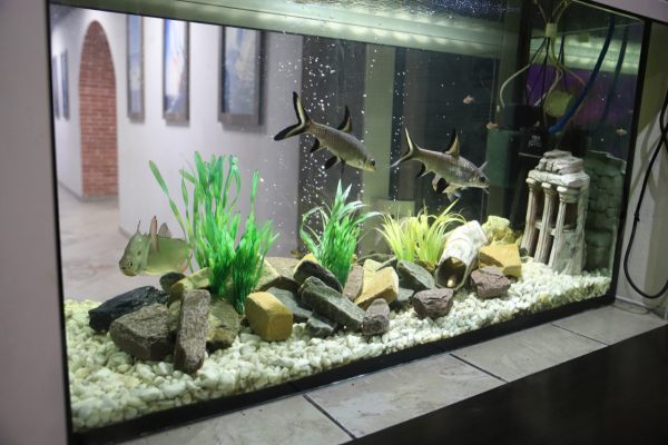 sport_bar_010 фото 18